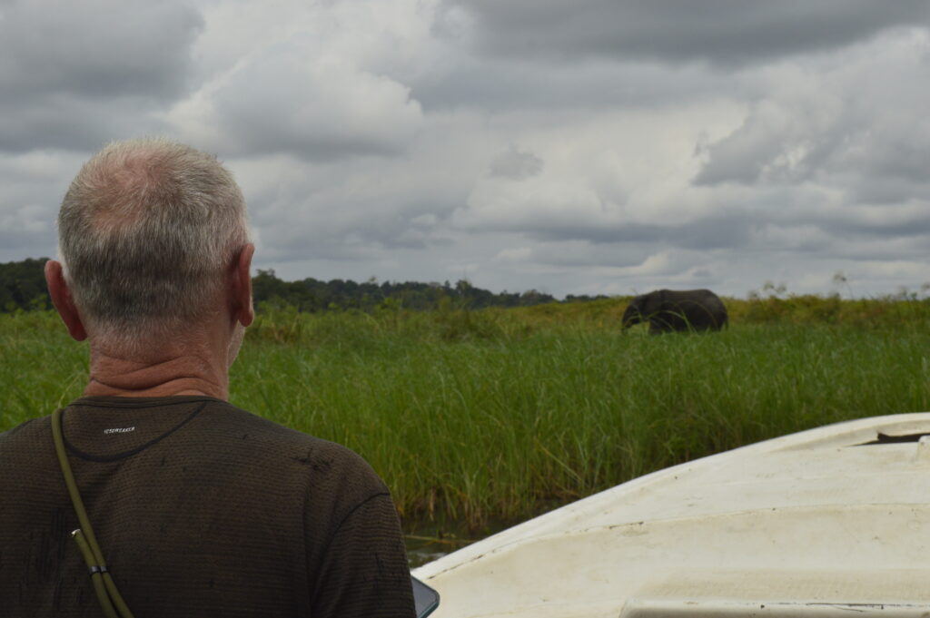 Safari en bateau, éléphant au loin