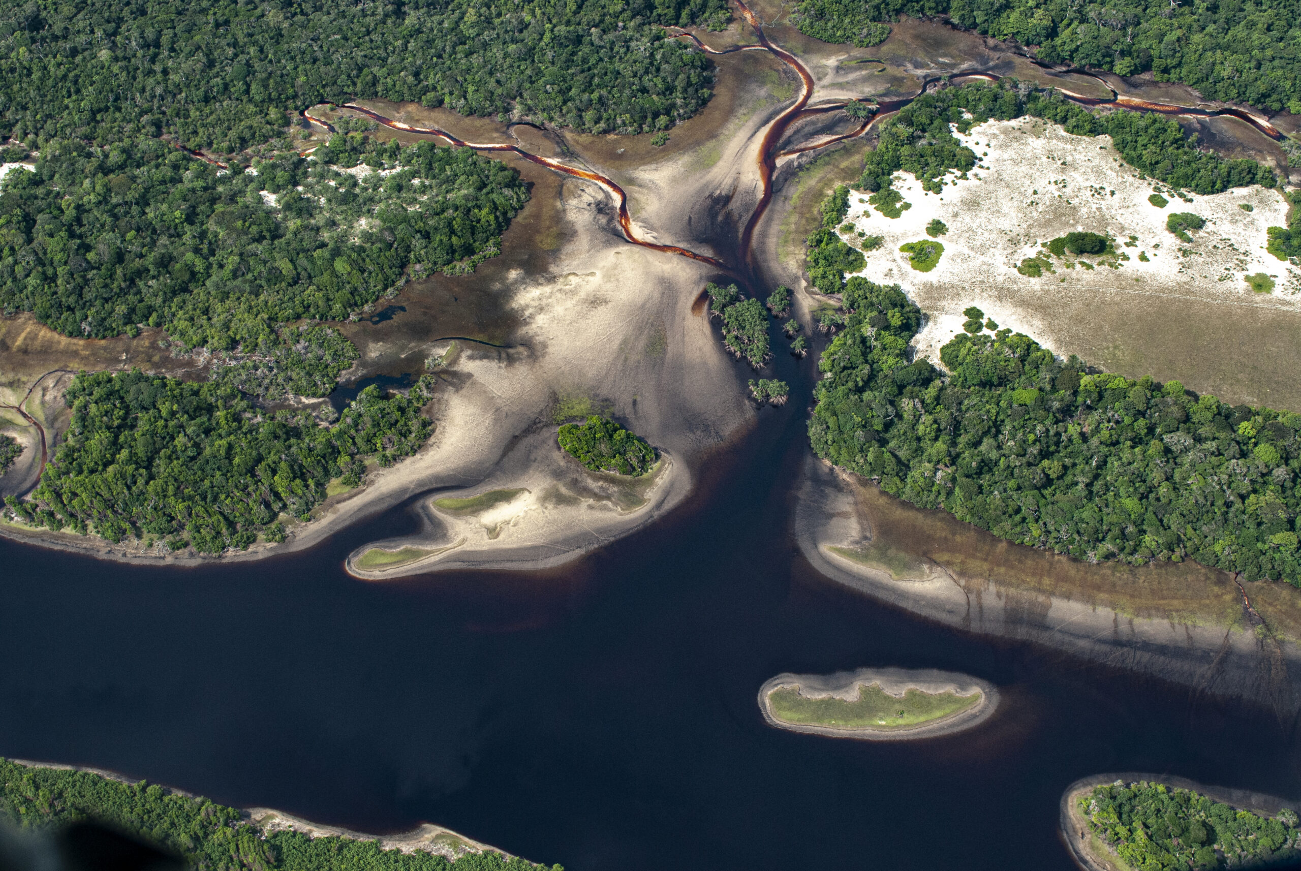 Vue aérienne d'un delta forestier au Gabon