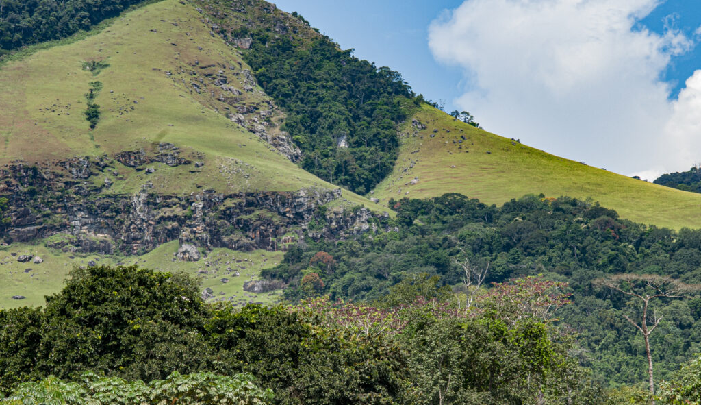 Collines et forêt du parc national de la Lopé