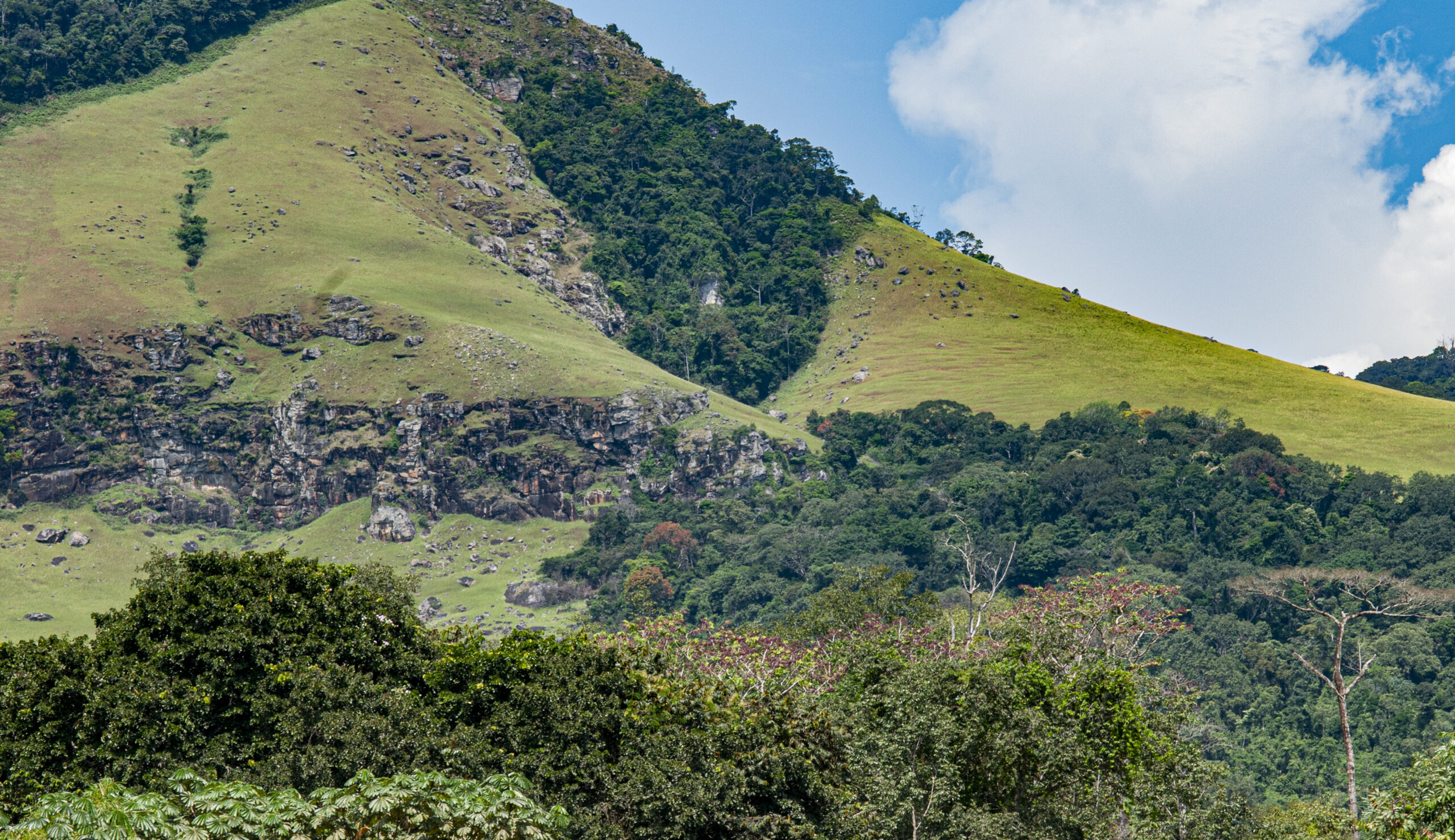 Collines et falaise en lisière de forêt